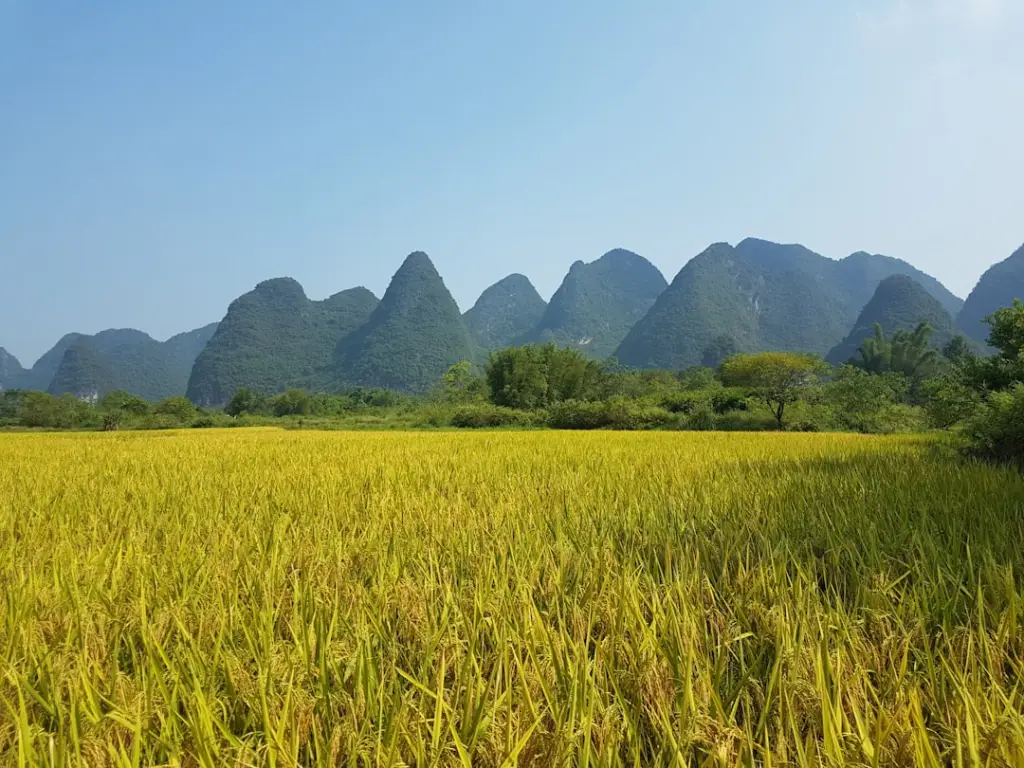 贵州明杰达贸易有限公司建筑材料供应链管理要点分析